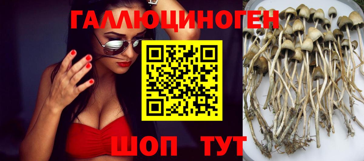 Псилоцибиновые грибы ЛСД  Вход с VPN  Дюртюли  Галлюциногенные грибы MAGIC MUSHROOMS 